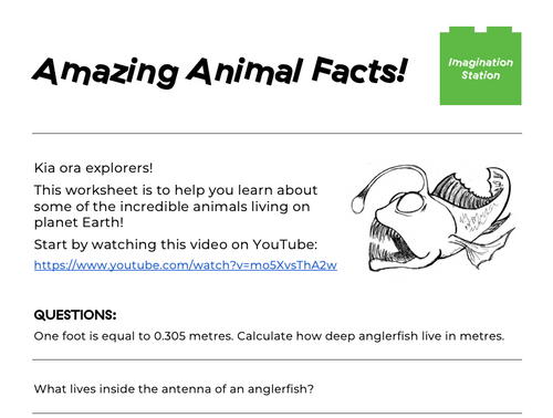 Amazing Animal Facts! at Imagination Station